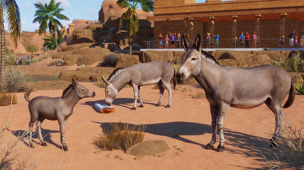 Игра Planet Zoo: Arid Animal Pack, скриншот