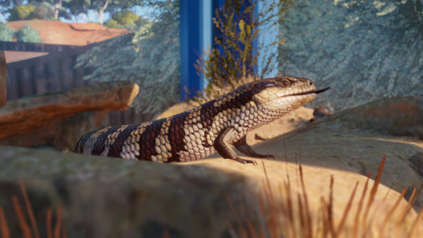 Игра Planet Zoo: Australia Pack, скриншот