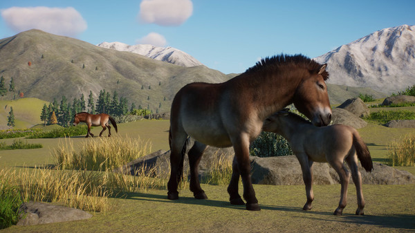 Игра Planet Zoo: Conservation Pack, скриншот