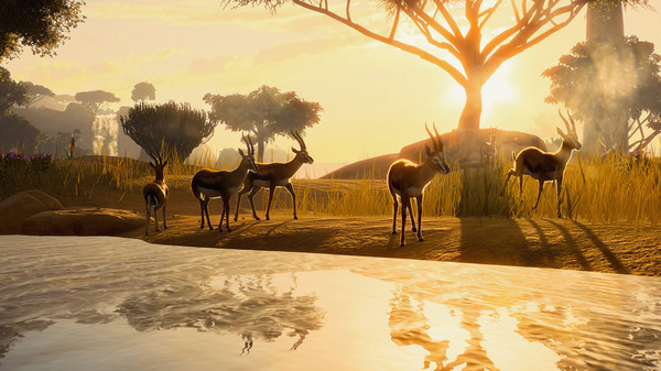 Игра Planet Zoo: Deluxe Upgrade Pack, скриншот