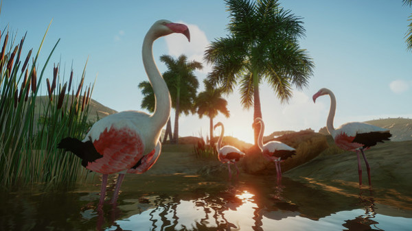 Игра Planet Zoo, скриншот