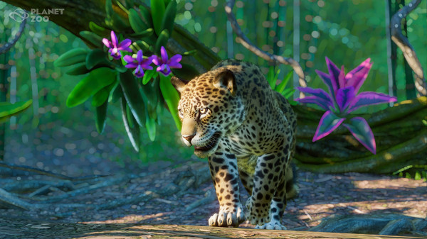 Игра Planet Zoo: South America Pack , скриншот