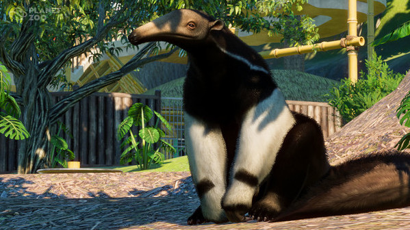 Игра Planet Zoo: South America Pack , скриншот