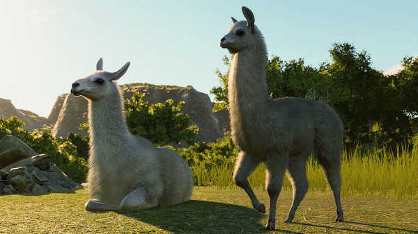 Игра Planet Zoo: South America Pack , скриншот
