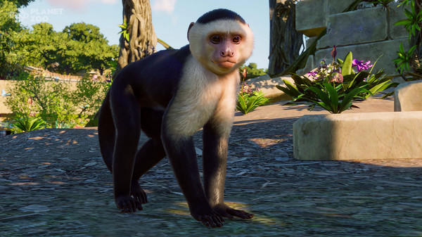 Игра Planet Zoo: South America Pack , скриншот