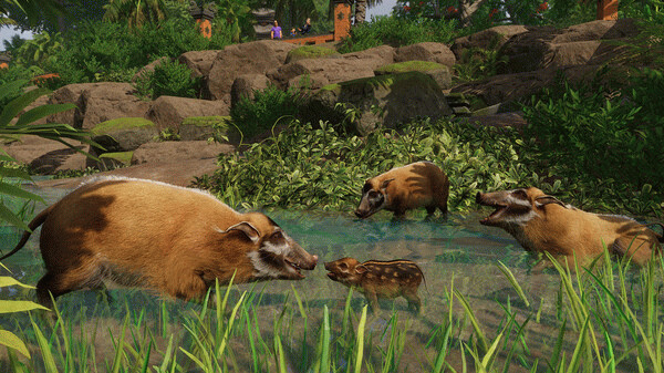 Игра Planet Zoo: Tropical Pack, скриншот
