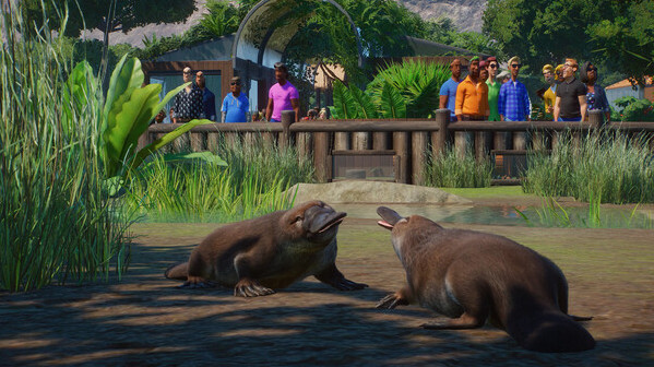 Игра Planet Zoo: Wetlands Animal Pack, скриншот