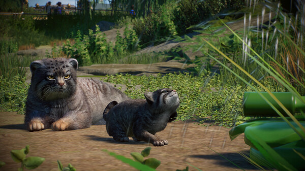 Игра Planet Zoo: Zookeepers Animal Pack, скриншот