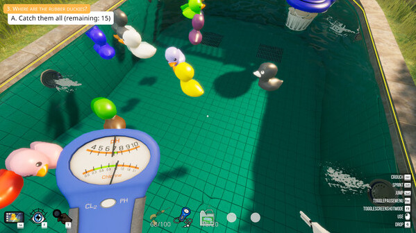 Игра Pool Cleaning Simulator, скриншот