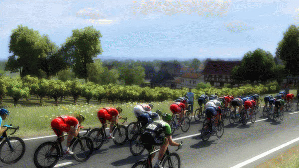 Игра Pro Cycling Manager 2014, скриншот