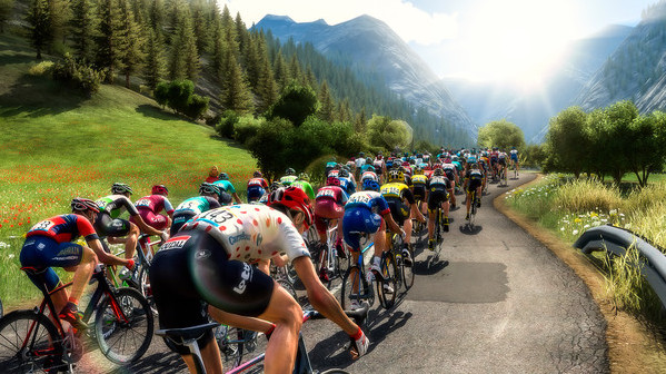 Игра Pro Cycling Manager 2018, скриншот