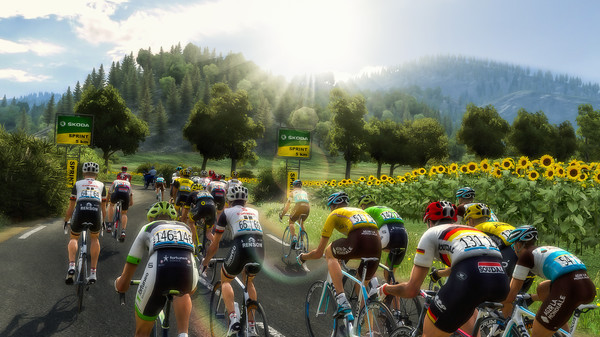 Игра Pro Cycling Manager 2018, скриншот