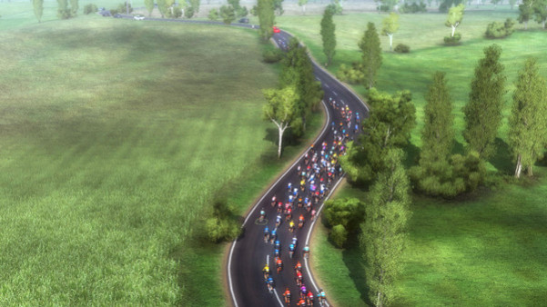 Игра Pro Cycling Manager 2020, скриншот