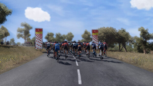 Игра Pro Cycling Manager 2023, скриншот