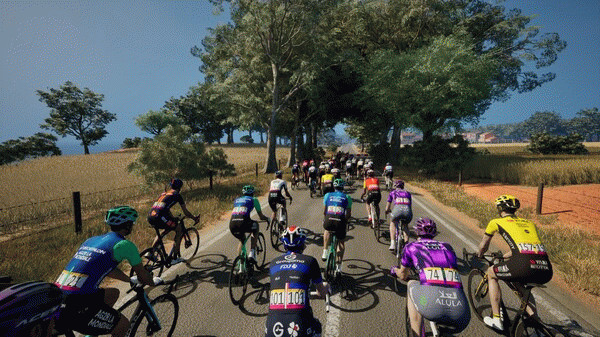 Игра Pro Cycling Manager 25, скриншот