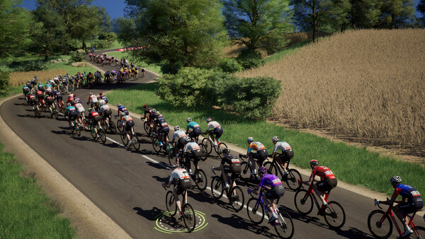 Игра Pro Cycling Manager 26, скриншот