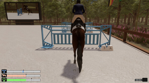 Игра Pro Show Jumping, скриншот