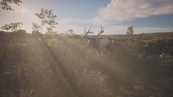 Игра PROJECT HUNT - LONE STAR HUNTING RANCH, скриншот