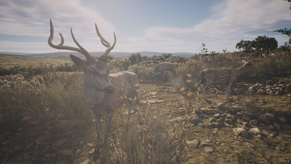 Игра PROJECT HUNT - LONE STAR HUNTING RANCH, скриншот