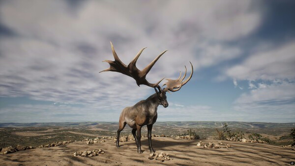 Игра PROJECT HUNT - LONE STAR HUNTING RANCH, скриншот