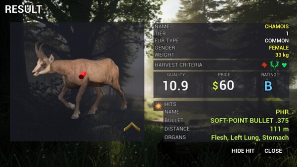 Игра Project Hunt, скриншот