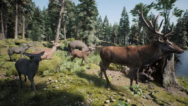 Игра PROJECT HUNT - Trophy Sanctuary, скриншот