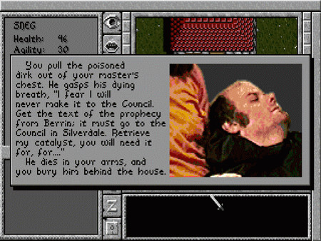 Игра Prophecy of the Shadow, скриншот