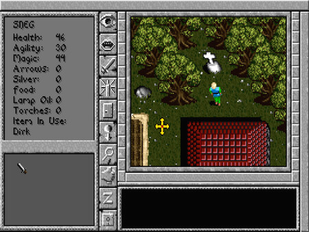 Игра Prophecy of the Shadow, скриншот