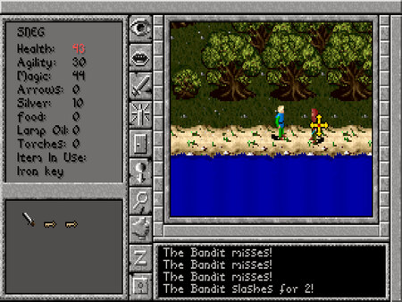 Игра Prophecy of the Shadow, скриншот