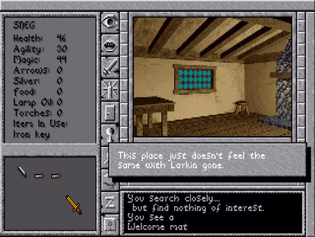 Игра Prophecy of the Shadow, скриншот