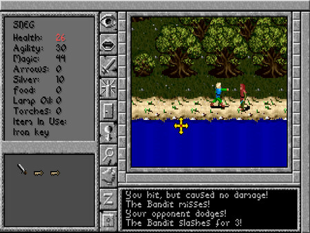 Игра Prophecy of the Shadow, скриншот