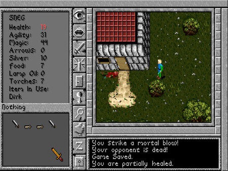 Игра Prophecy of the Shadow, скриншот