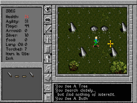 Игра Prophecy of the Shadow, скриншот