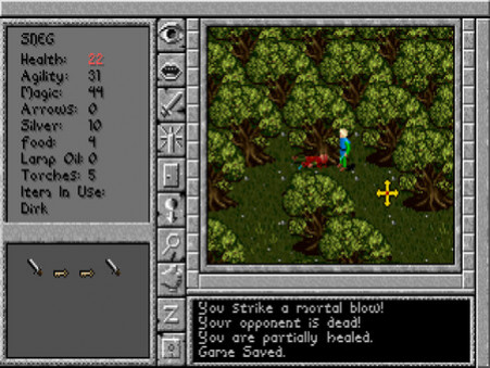 Игра Prophecy of the Shadow, скриншот
