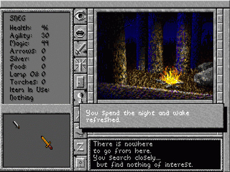Игра Prophecy of the Shadow, скриншот