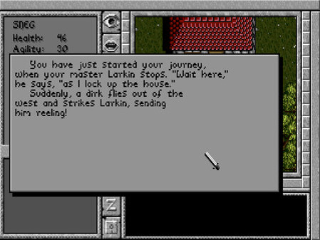 Игра Prophecy of the Shadow, скриншот