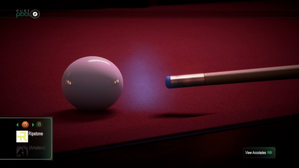 Игра Pure Pool, скриншот