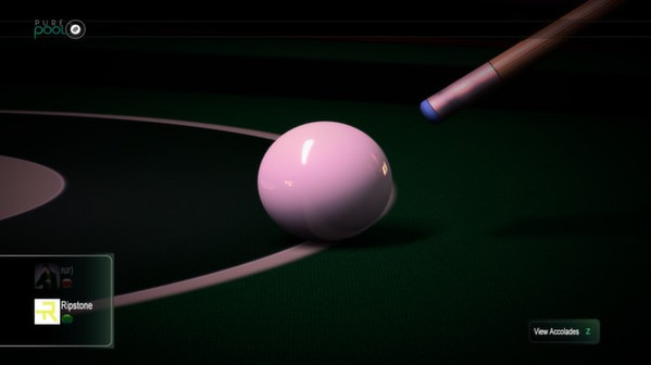 Игра Pure Pool, скриншот