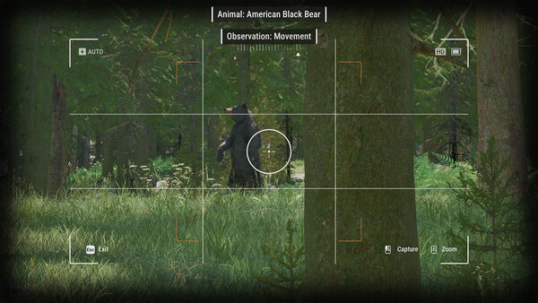 Игра Ranger’s Path: National Park Simulator, скриншот