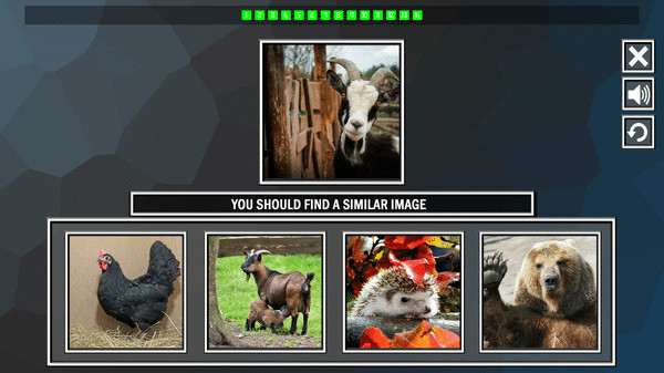 Игра Repeat the image: Animals, скриншот