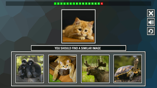 Игра Repeat the image: Animals, скриншот