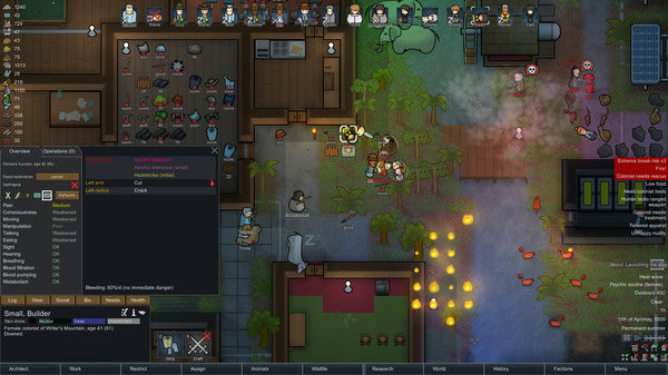 Игра RimWorld, скриншот