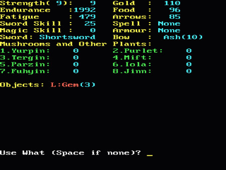 Игра Rings of Zilfin, скриншот