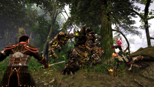 Игра Risen 3 - Titan Lords, скриншот