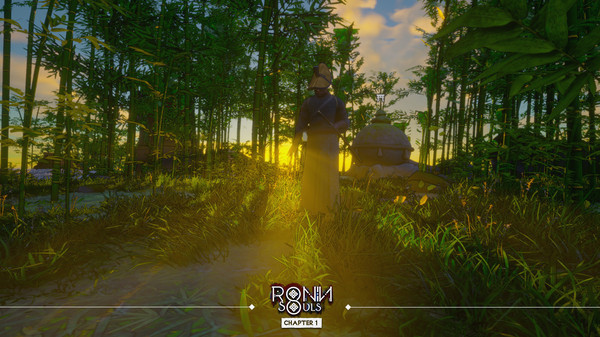Игра RONIN: Two Souls CHAPTER 1, скриншот