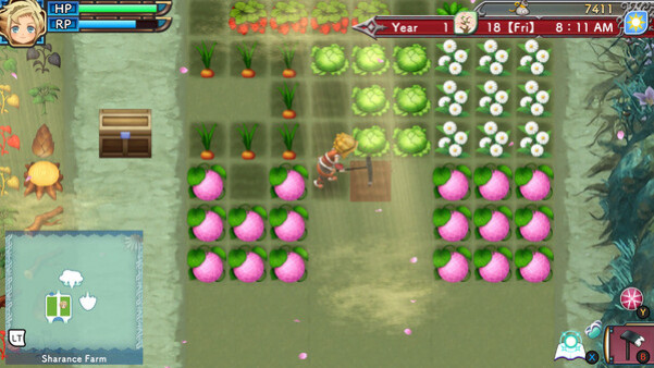 Игра Rune Factory 3 Special, скриншот