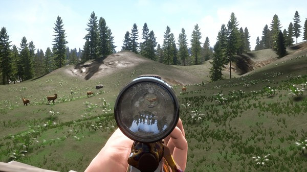 Игра Russian Hunter, скриншот