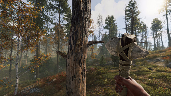 Игра Rust, скриншот