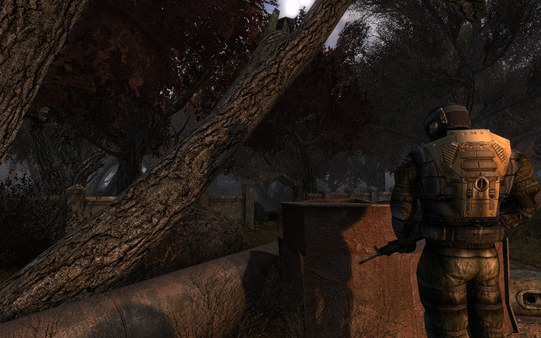 Игра S.T.A.L.K.E.R.: Clear Sky, скриншот