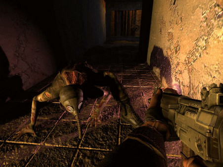 Игра S.T.A.L.K.E.R.: Shadow of Chernobyl, скриншот
